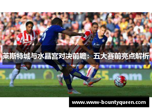 莱斯特城与水晶宫对决前瞻：五大赛前亮点解析
